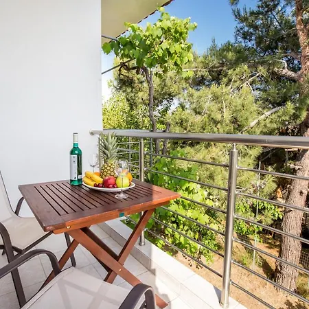 安德罗尼公寓 波托什